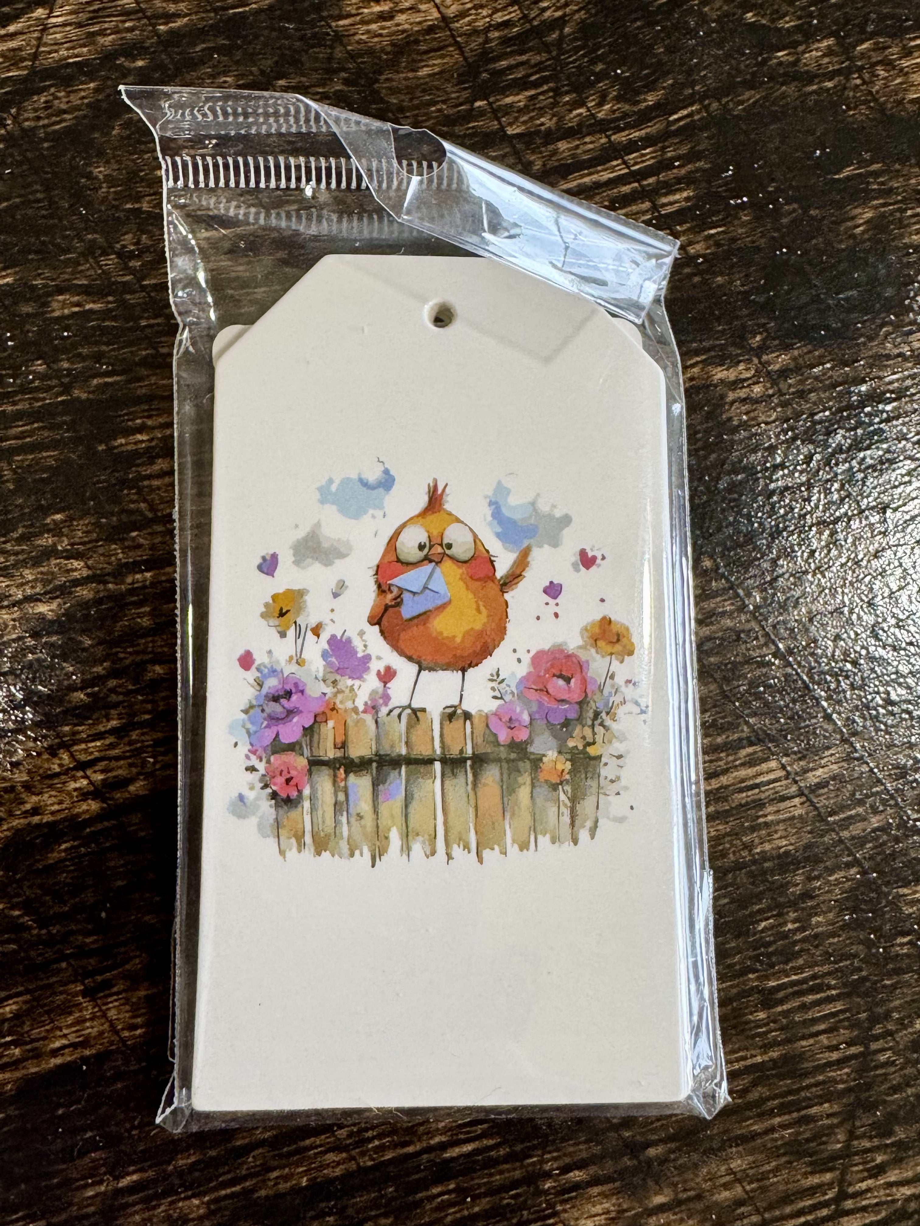 Cute Bird